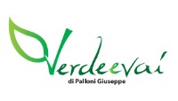 verdeevai logo.jpg